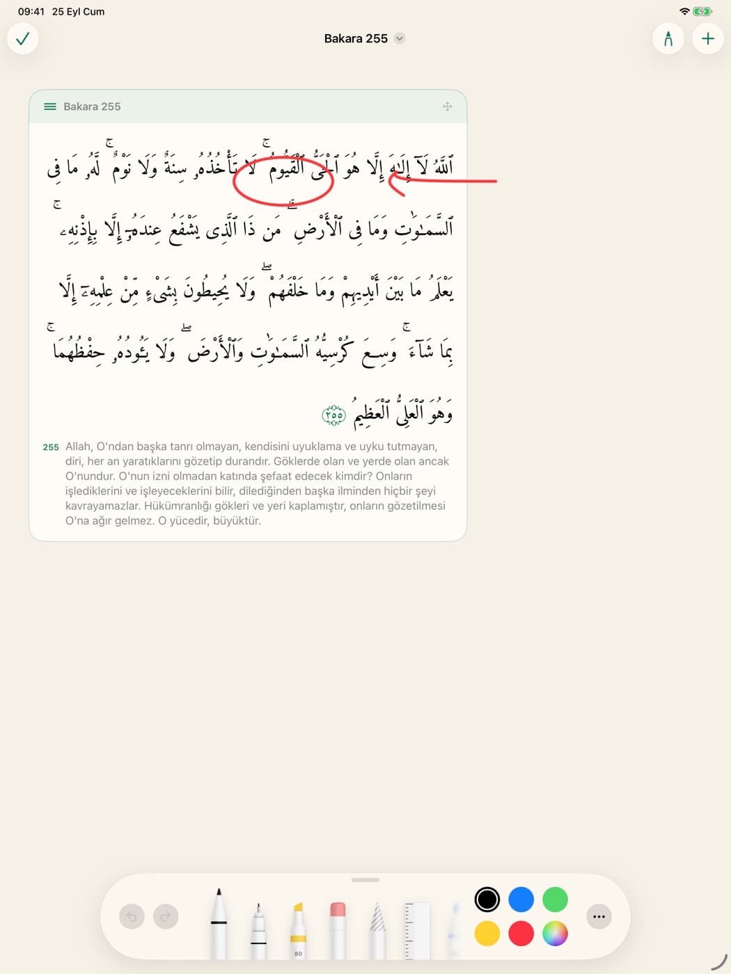iPad'de Notlar: Âyetü'l-Kürsî ve Apple Pencil ile işaretler